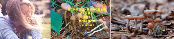 гашиш Кодинск