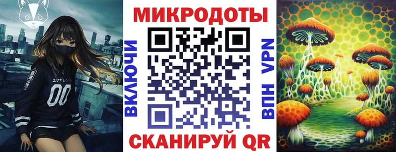Галлюциногенные грибы Cubensis  Артём 